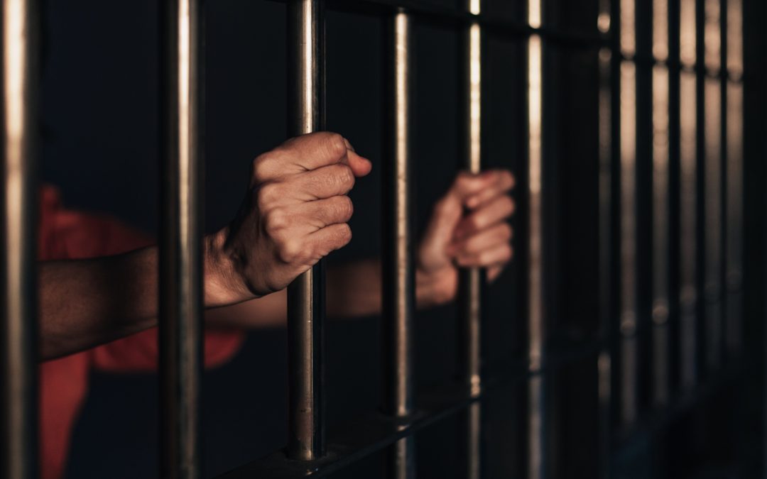 $ 800,000 Human Hair Extensions and wigs produced by slaves seized in June